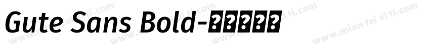 Gute Sans Bold字体转换